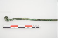 Foto von Bronzerollenkopfnadel (NHMW-PRAE-026509)